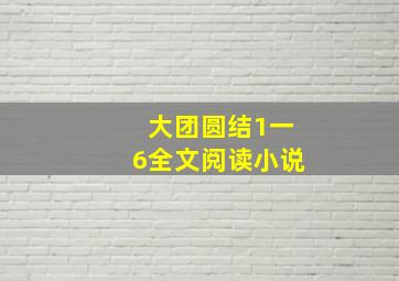 大团圆结1一6全文阅读小说