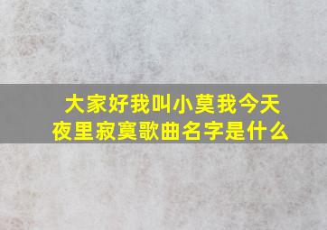 大家好我叫小莫我今天夜里寂寞歌曲名字是什么