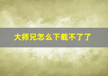 大师兄怎么下载不了了