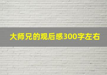 大师兄的观后感300字左右