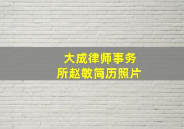 大成律师事务所赵敏简历照片