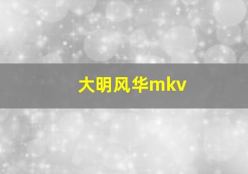 大明风华mkv