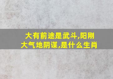 大有前途是武斗,阳刚大气地阴谋,是什么生肖