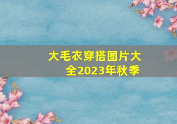 大毛衣穿搭图片大全2023年秋季