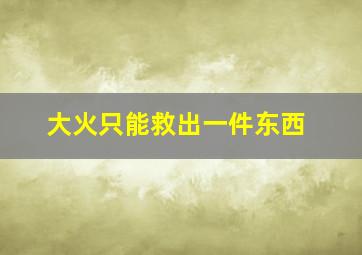 大火只能救出一件东西