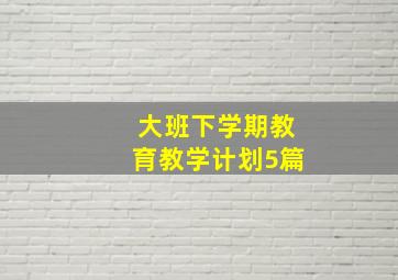 大班下学期教育教学计划5篇