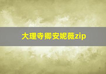 大理寺卿安妮薇zip