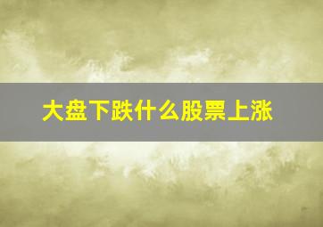 大盘下跌什么股票上涨