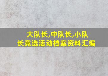 大队长,中队长,小队长竞选活动档案资料汇编