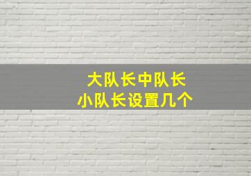 大队长中队长小队长设置几个