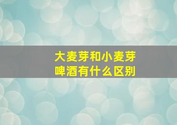 大麦芽和小麦芽啤酒有什么区别