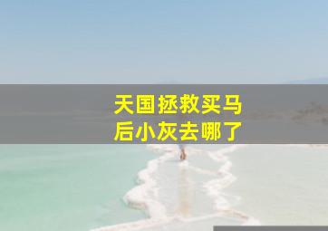 天国拯救买马后小灰去哪了