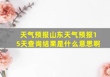 天气预报山东天气预报15天查询结果是什么意思啊