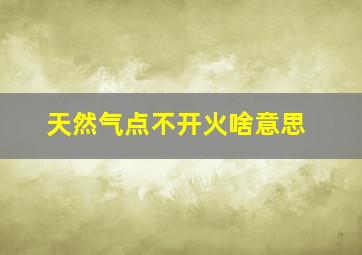 天然气点不开火啥意思