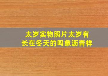 太岁实物照片太岁有长在冬天的吗象沥青样