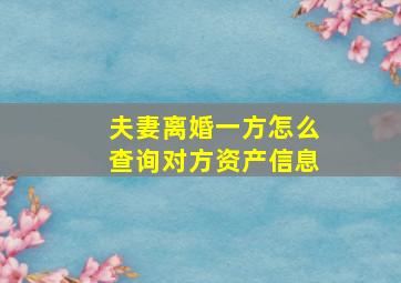 夫妻离婚一方怎么查询对方资产信息