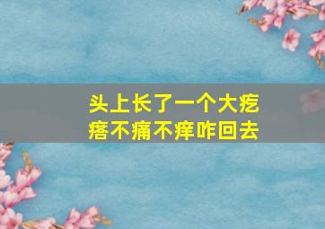 头上长了一个大疙瘩不痛不痒咋回去