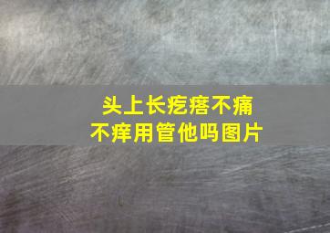 头上长疙瘩不痛不痒用管他吗图片