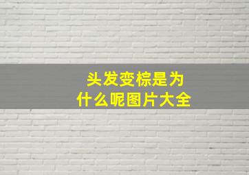 头发变棕是为什么呢图片大全