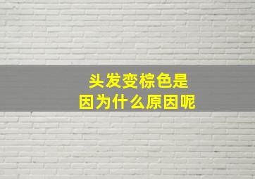 头发变棕色是因为什么原因呢