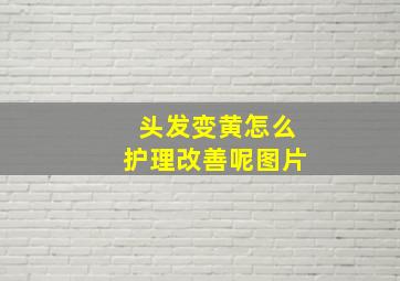 头发变黄怎么护理改善呢图片