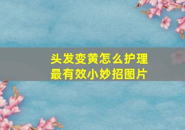 头发变黄怎么护理最有效小妙招图片