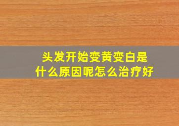 头发开始变黄变白是什么原因呢怎么治疗好