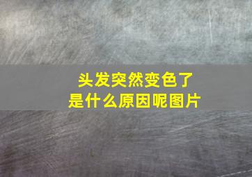 头发突然变色了是什么原因呢图片