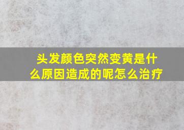 头发颜色突然变黄是什么原因造成的呢怎么治疗