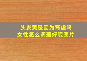 头发黄是因为肾虚吗女性怎么调理好呢图片