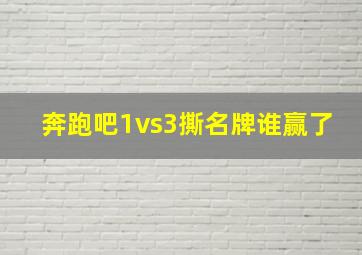 奔跑吧1vs3撕名牌谁赢了