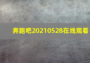 奔跑吧20210528在线观看