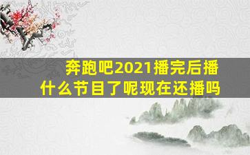 奔跑吧2021播完后播什么节目了呢现在还播吗