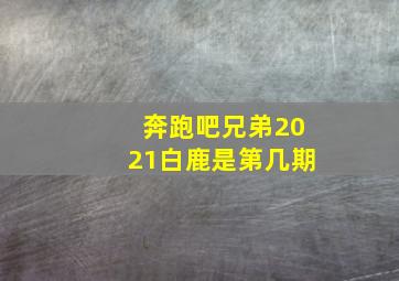 奔跑吧兄弟2021白鹿是第几期