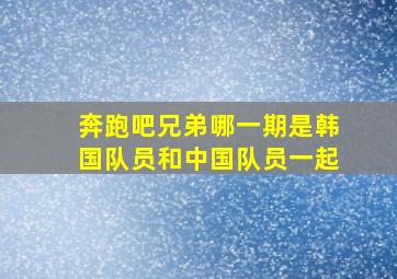 奔跑吧兄弟哪一期是韩国队员和中国队员一起