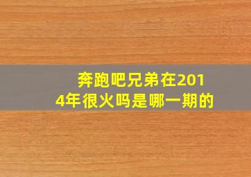 奔跑吧兄弟在2014年很火吗是哪一期的