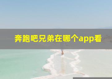 奔跑吧兄弟在哪个app看