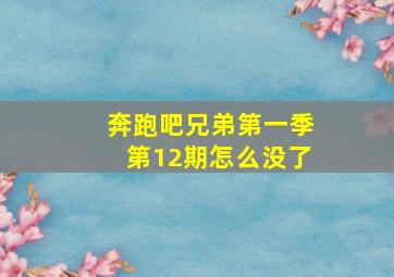 奔跑吧兄弟第一季第12期怎么没了