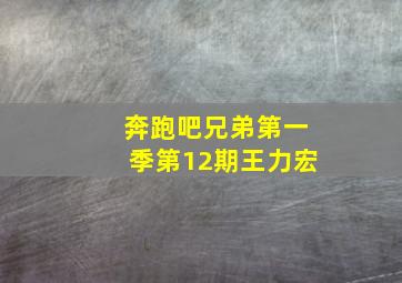 奔跑吧兄弟第一季第12期王力宏