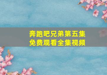 奔跑吧兄弟第五集免费观看全集视频