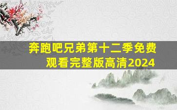 奔跑吧兄弟第十二季免费观看完整版高清2024