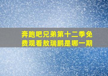 奔跑吧兄弟第十二季免费观看敖瑞鹏是哪一期