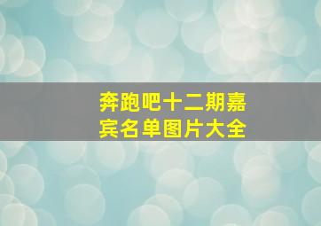 奔跑吧十二期嘉宾名单图片大全