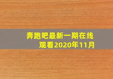 奔跑吧最新一期在线观看2020年11月