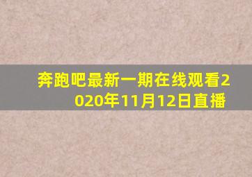 奔跑吧最新一期在线观看2020年11月12日直播