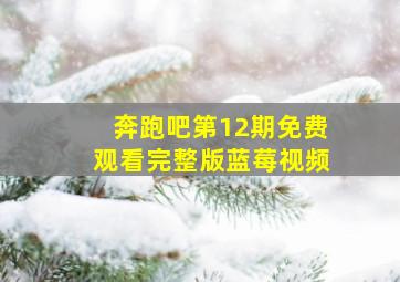 奔跑吧第12期免费观看完整版蓝莓视频