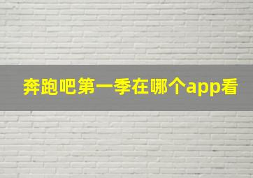 奔跑吧第一季在哪个app看