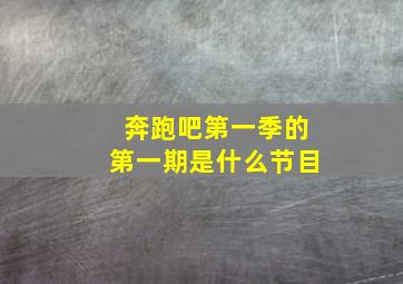 奔跑吧第一季的第一期是什么节目