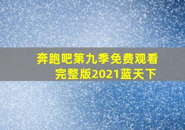 奔跑吧第九季免费观看完整版2021蓝天下