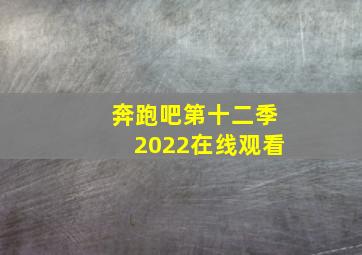 奔跑吧第十二季2022在线观看